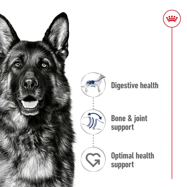 Royal Canin Maxi Adult Dry Dog Food - 15kg - Pet Supply